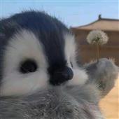 Rồ