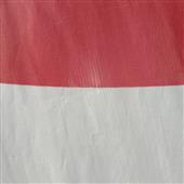 U1