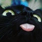 Th