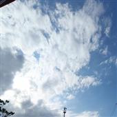 Lị