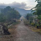Mạ