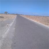 Bí