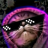 Vư