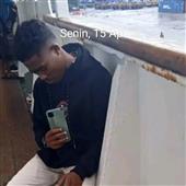 Gấ
