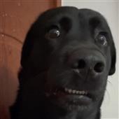 BT