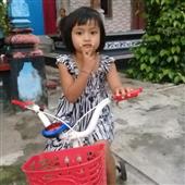 Sứ