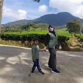 An