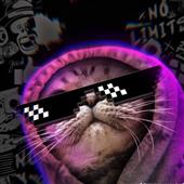 WO