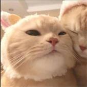 Tỷ