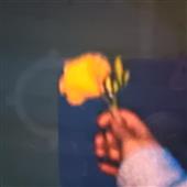 Vi