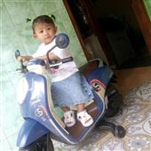 Sứ
