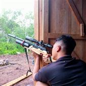 gi