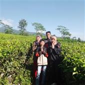 Tú