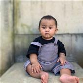 Bộ