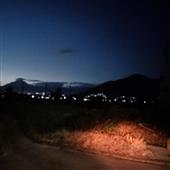 Vị