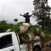 Lễ
