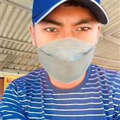Dự
