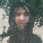 Gi