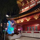 Dự
