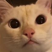 Kẻ