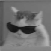 Tr