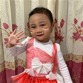 Bố
