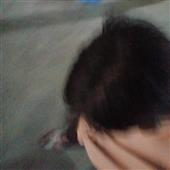 Vệ