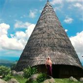 Dự
