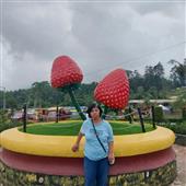 Dự