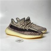 Tr