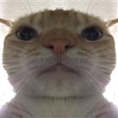 Vù