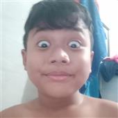 Dã