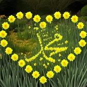 Sò