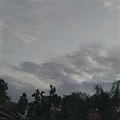 Mi