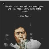 Ne