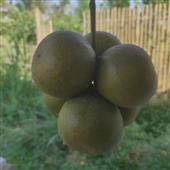 Bà