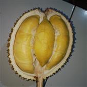 Tế