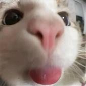 Re