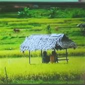 Đu