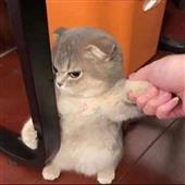 Nă