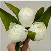 Đả