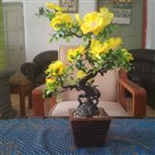Kế