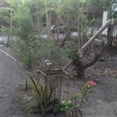 Tỷ