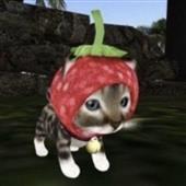 Ma